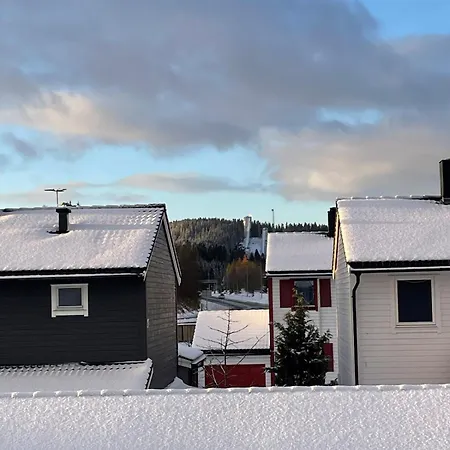 House For Rent During World Championships *