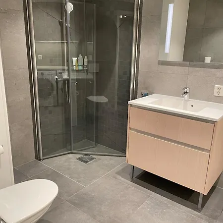 House For Rent During World Championships Trondheim